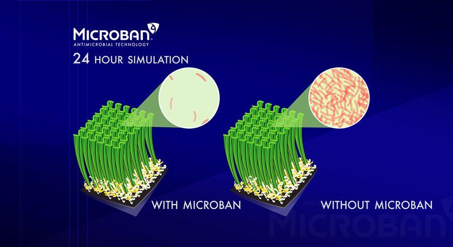 Microban Technology, Lake Elsinore Artificial Grass, Pavers for any lawn