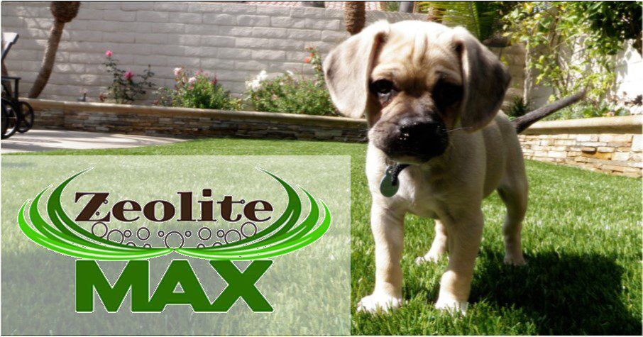 Pet Artificial Grassfor Homes or Business, Lake Elsinore Artificial Grass