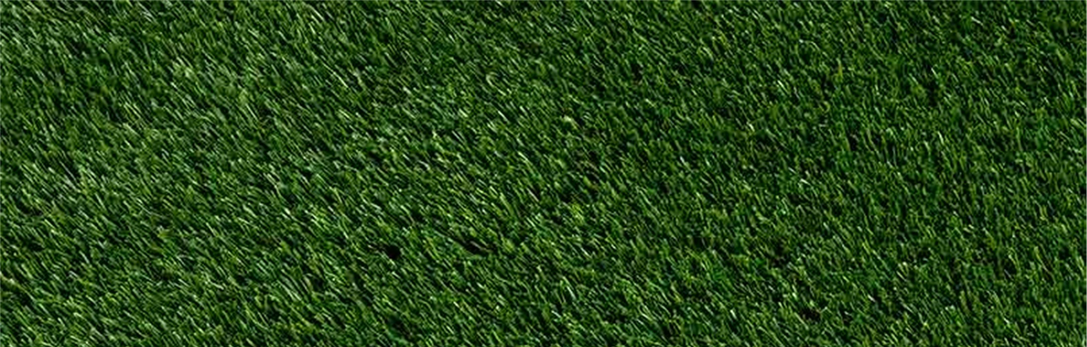 Oakmont Artificial Grass, Lake Elsinore Artificial Grass & Pavers
